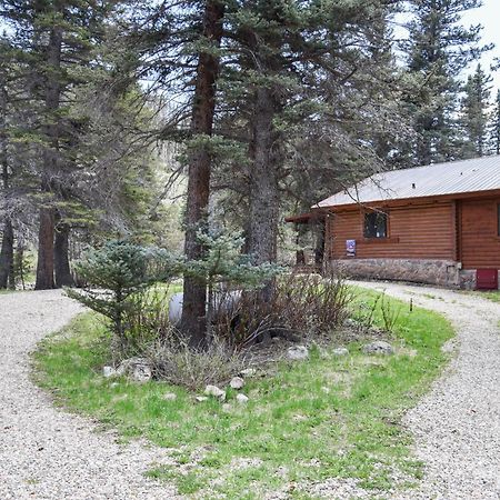 Bear Bait Cabin In Upper Valley With High Speed Wifi Red River Exteriér fotografie
