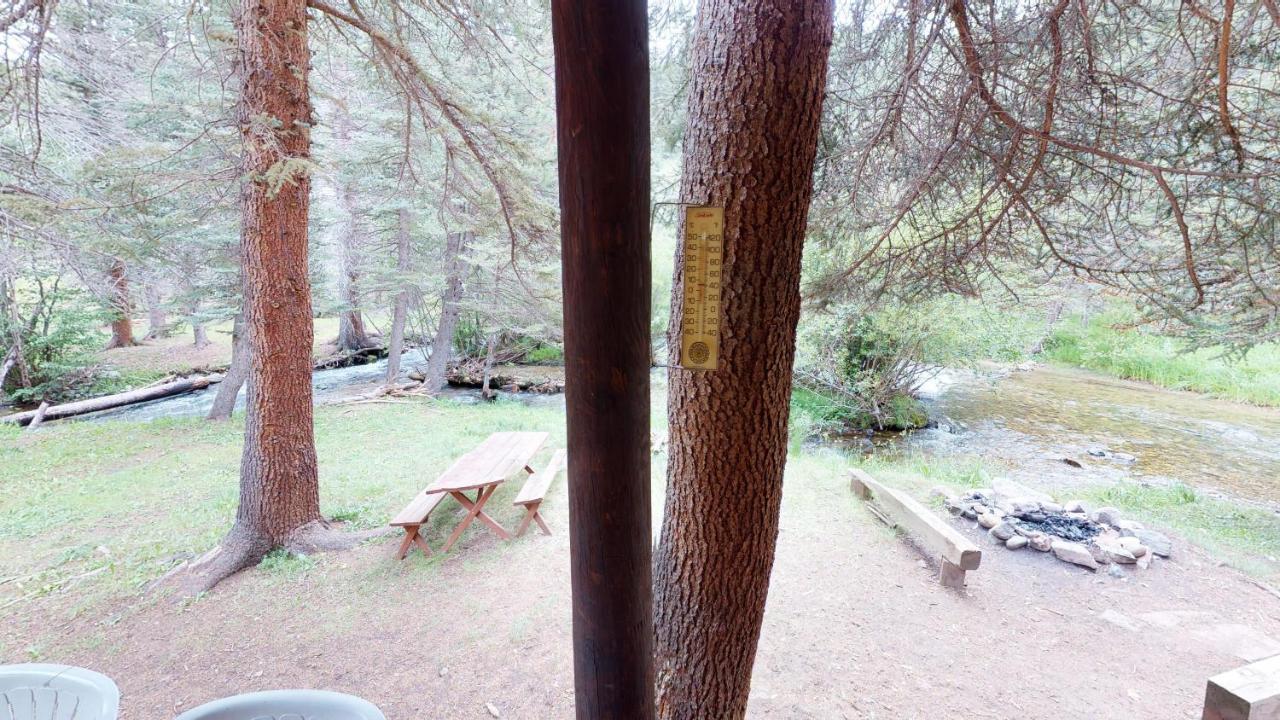 Bear Bait Cabin In Upper Valley With High Speed Wifi Red River Exteriér fotografie