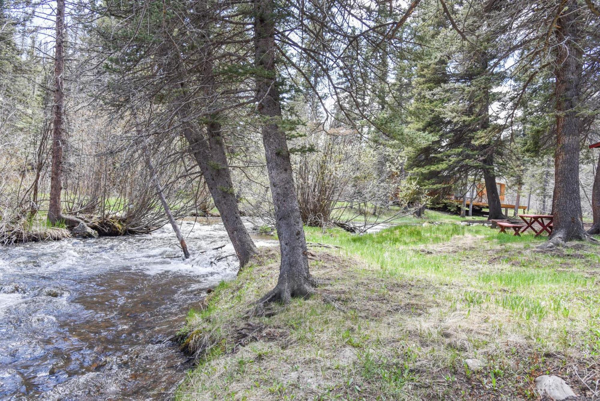 Bear Bait Cabin In Upper Valley With High Speed Wifi Red River Exteriér fotografie
